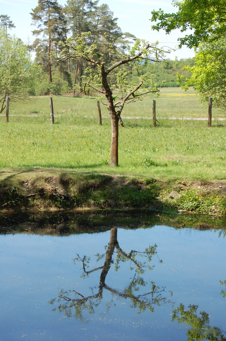 an1_004556.jpg