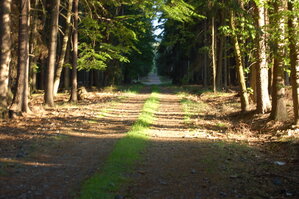 an1_004387.jpg