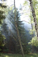 an1_004395.jpg