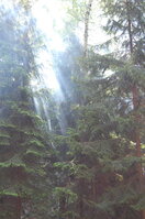an1_004396.jpg