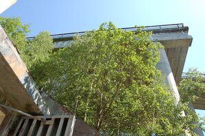 an1_004447.jpg