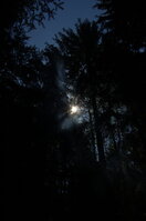 an1_004550.jpg
