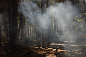 an1_004551.jpg