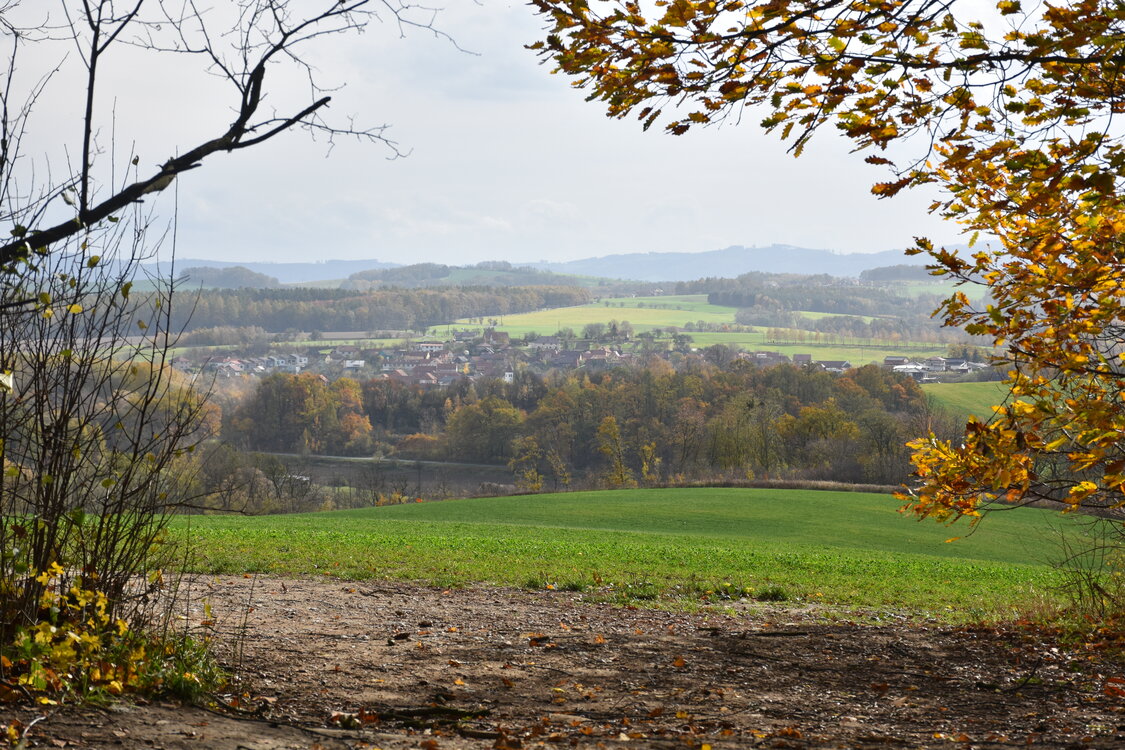 an2_007746.jpg
