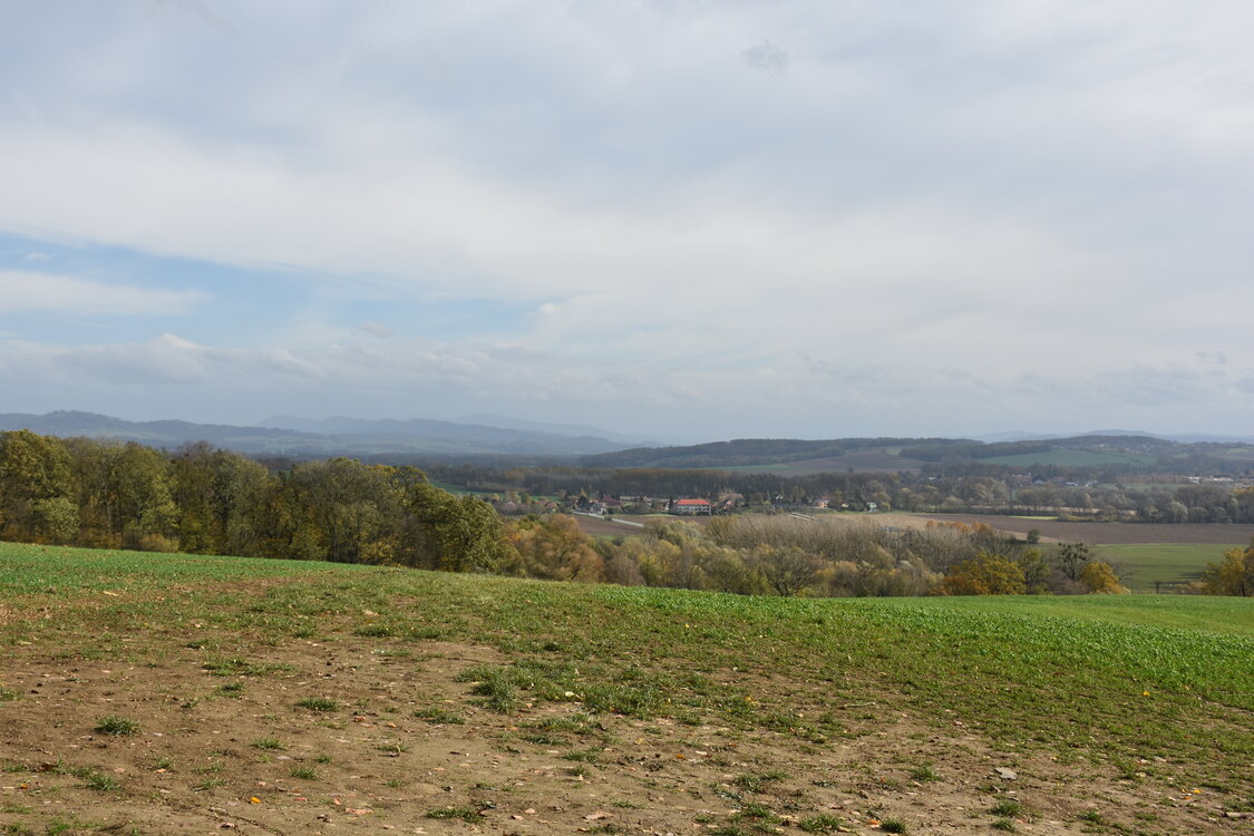 an2_007747.jpg