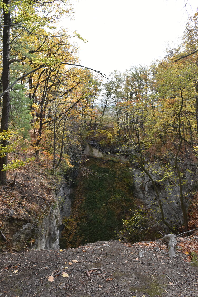 an2_007757.jpg