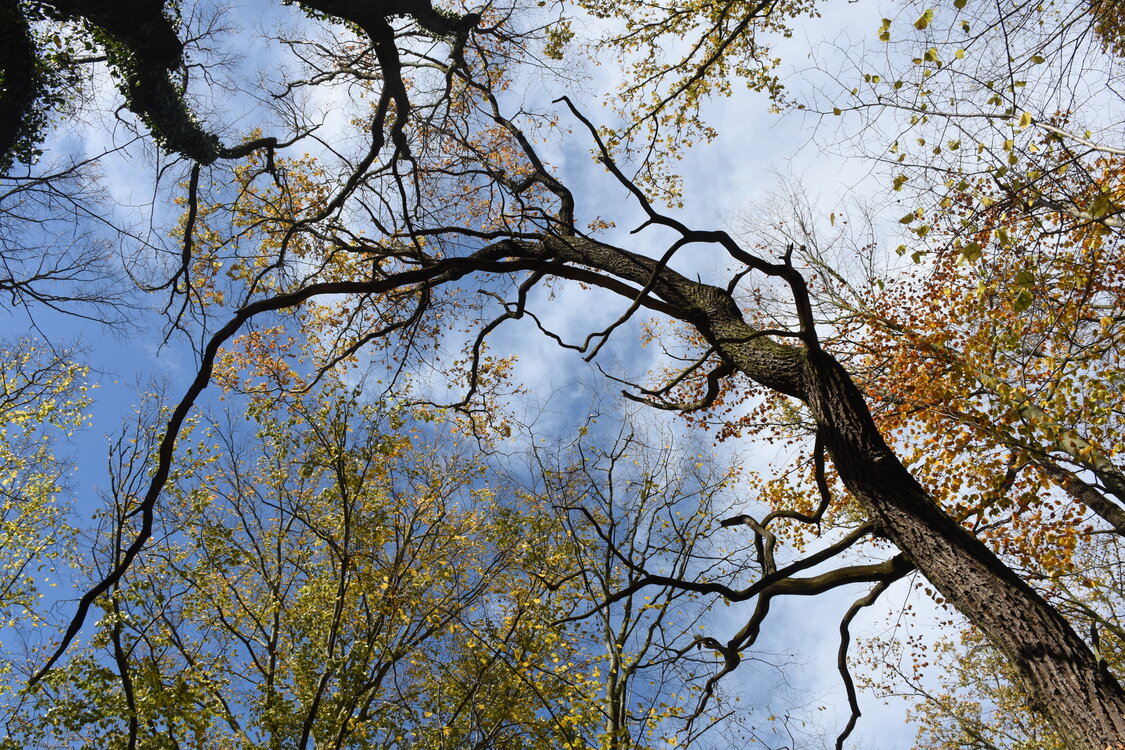 an2_007762.jpg