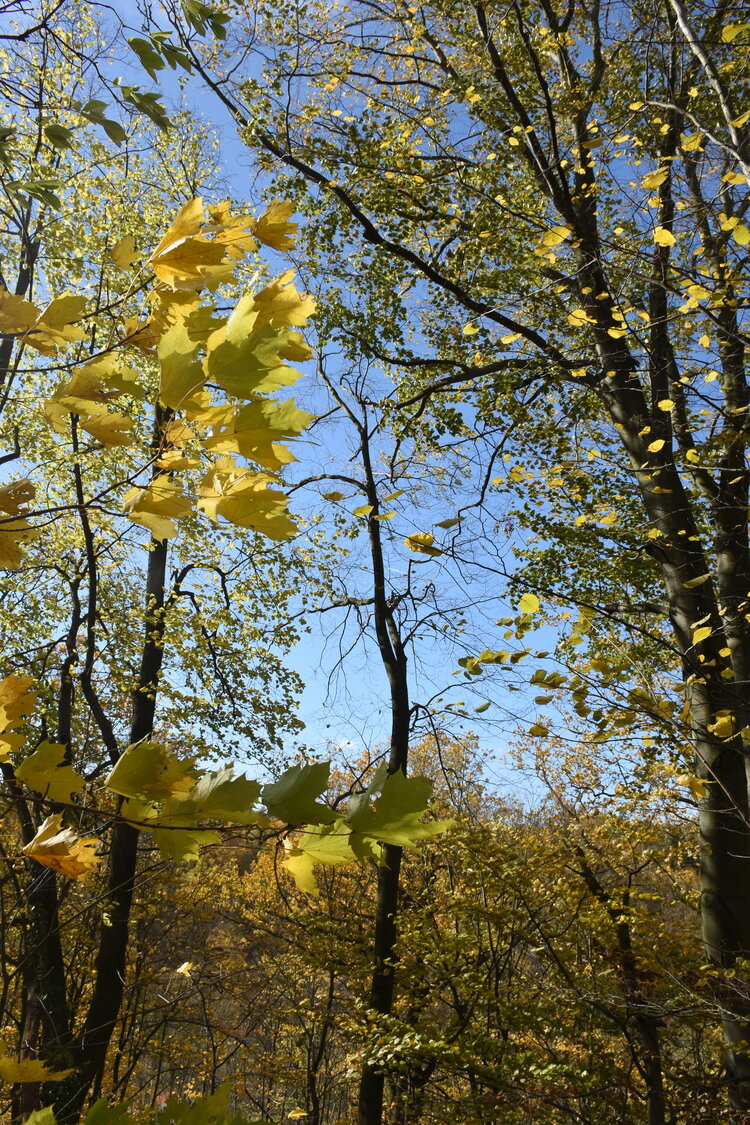 an2_007763.jpg