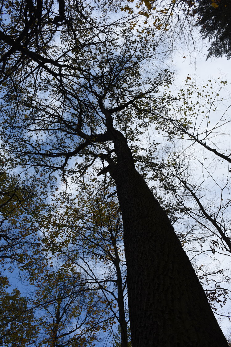 an2_007766.jpg