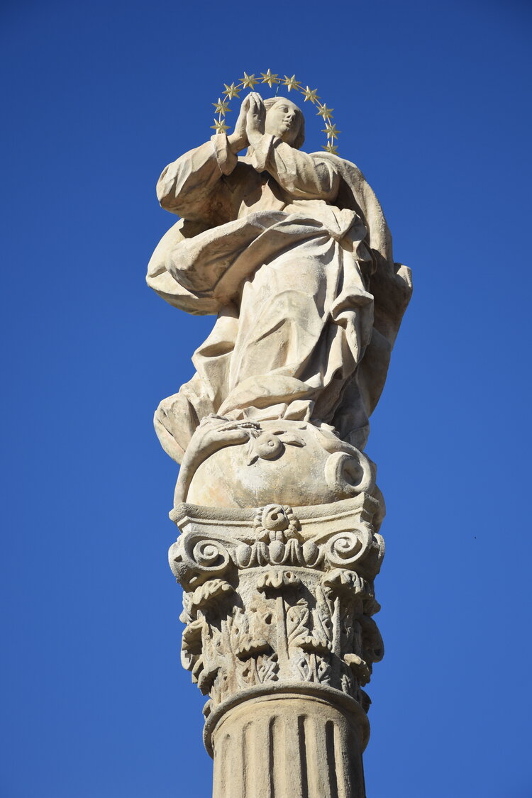an2_007795.jpg