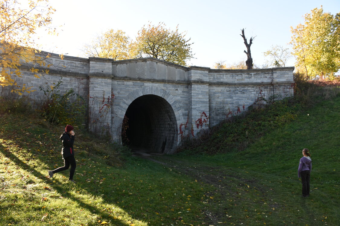 an2_007798.jpg