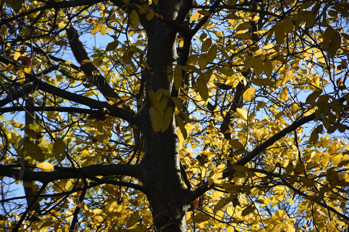 an2_007805.jpg