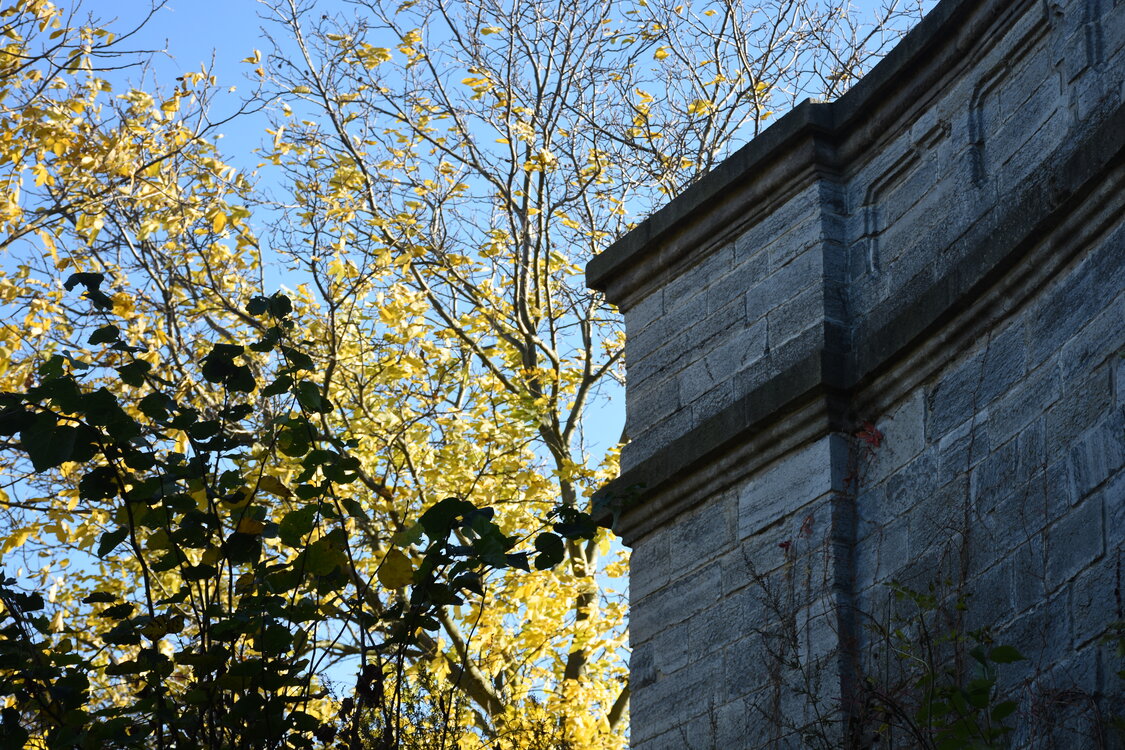 an2_007818.jpg