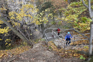 an2_007745.jpg