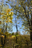 an2_007763.jpg