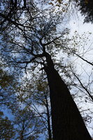an2_007766.jpg