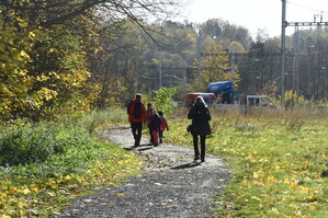 an2_007777.jpg