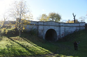 an2_007800.jpg