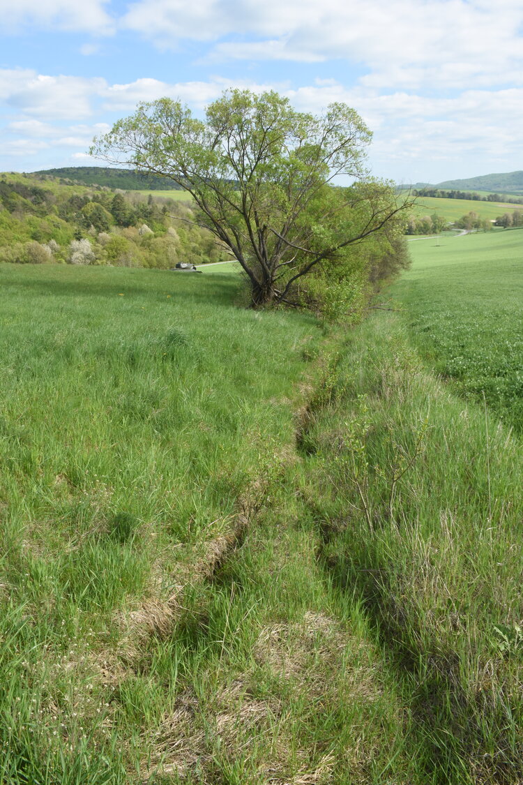 Relikt zákopu nebo čehosi protitankového.