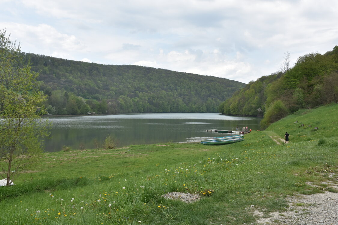 an2_030833.jpg