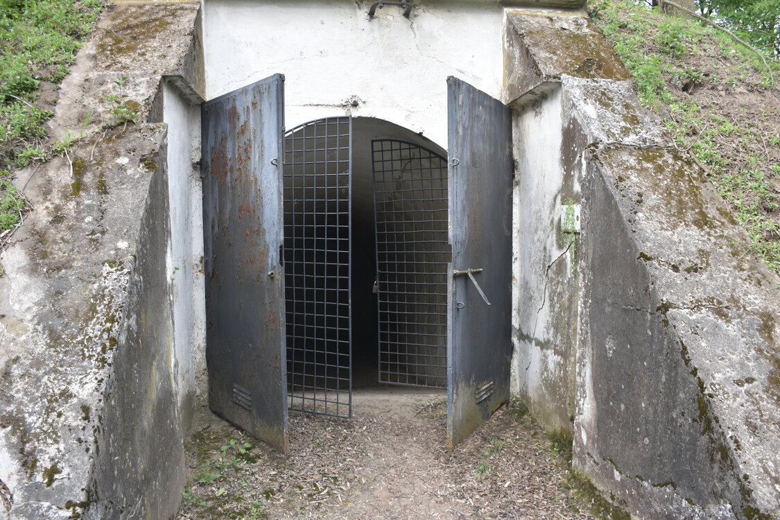 an2_030875.jpg