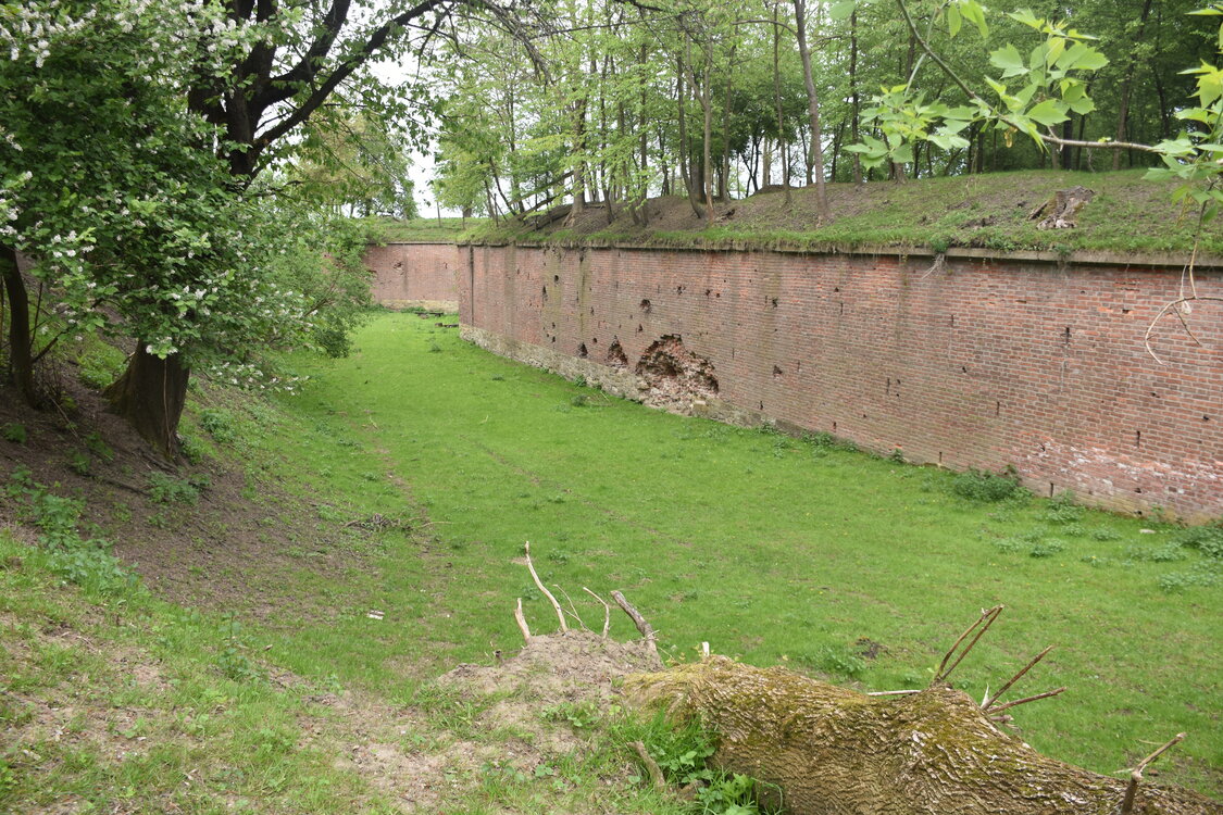 an2_030878.jpg