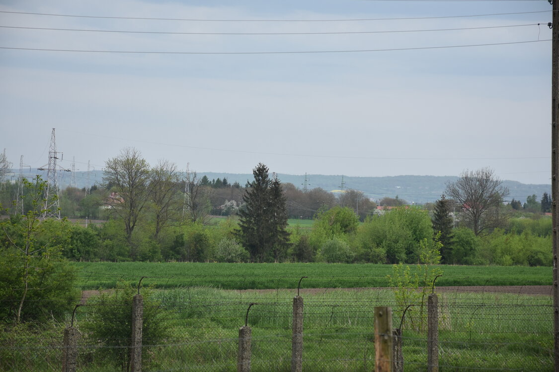 an2_030879.jpg