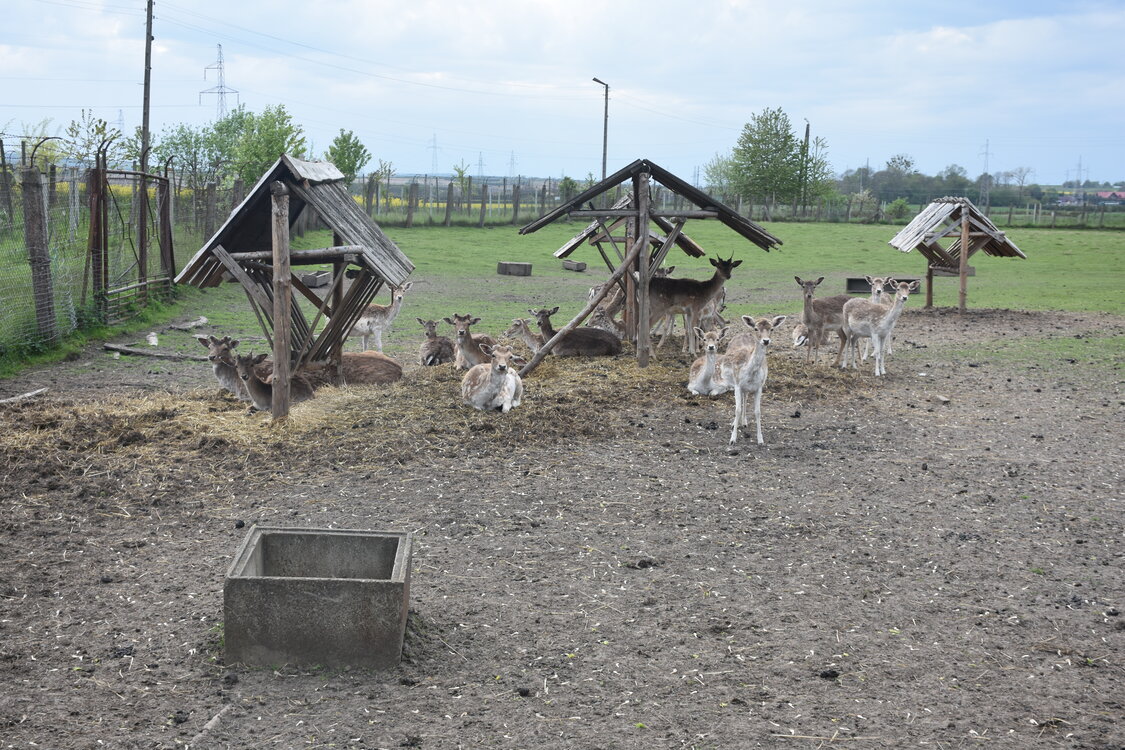 an2_030881.jpg