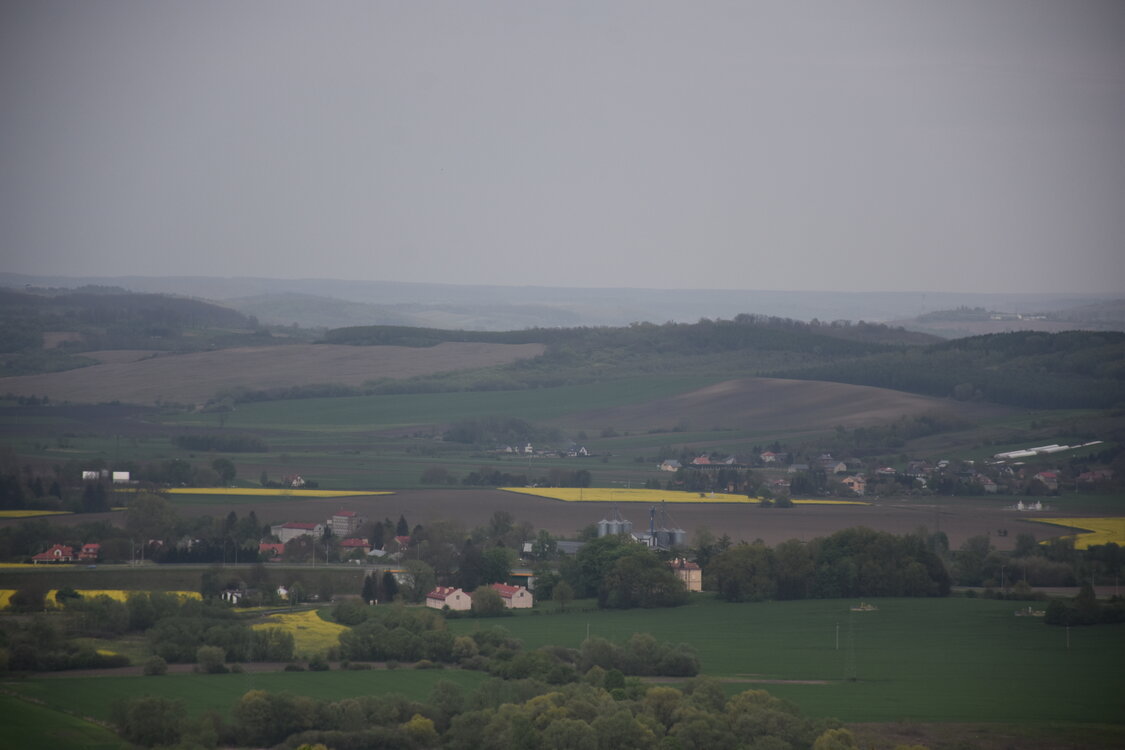 an2_030884.jpg