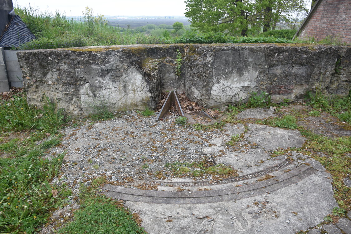 an2_030919.jpg