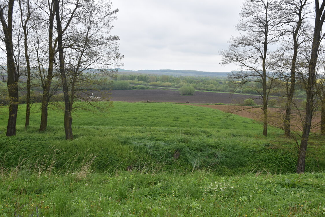 an2_030923.jpg