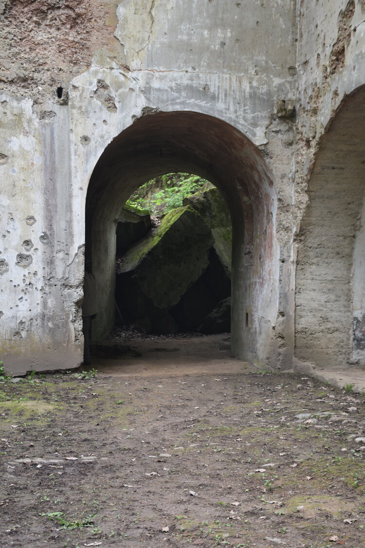 an2_030936.jpg