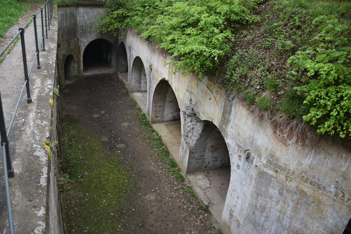 an2_030966.jpg