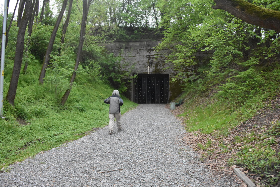 an2_030980.jpg
