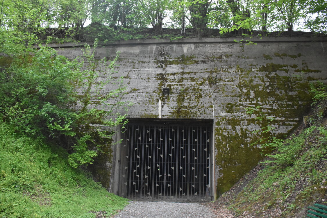 an2_030982.jpg