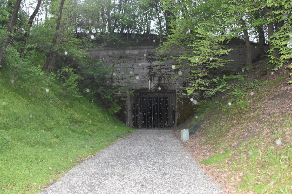 an2_030985.jpg