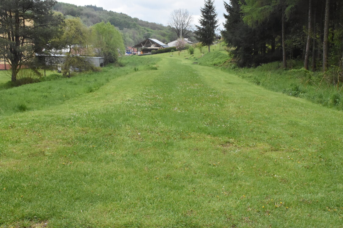 an2_030994.jpg