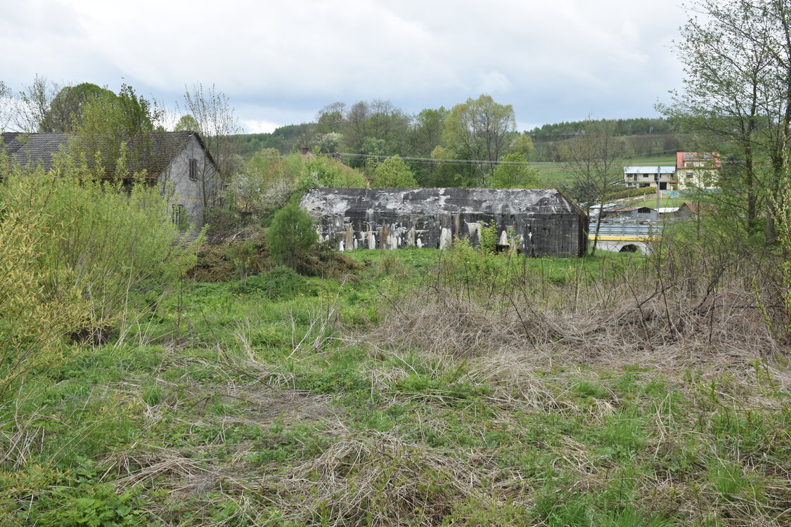 an2_031015.jpg