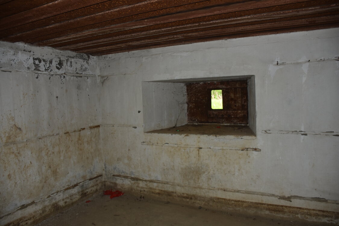 an2_031018.jpg