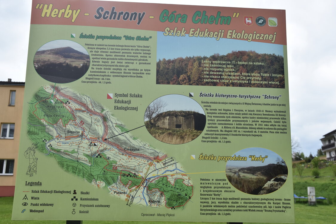 an2_031032.jpg