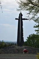 an2_030836.jpg