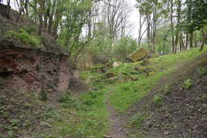 an2_030876.jpg