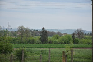 an2_030879.jpg