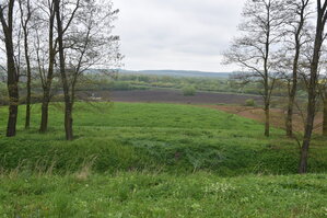 an2_030923.jpg