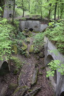 an2_030940.jpg
