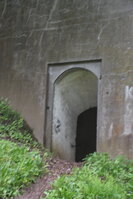 an2_030963.jpg