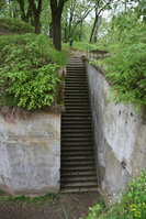an2_030965.jpg