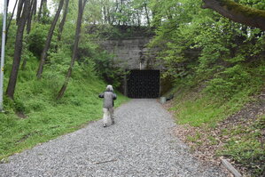 an2_030980.jpg
