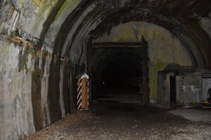 an2_030983.jpg