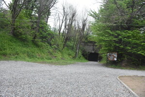 an2_030989.jpg